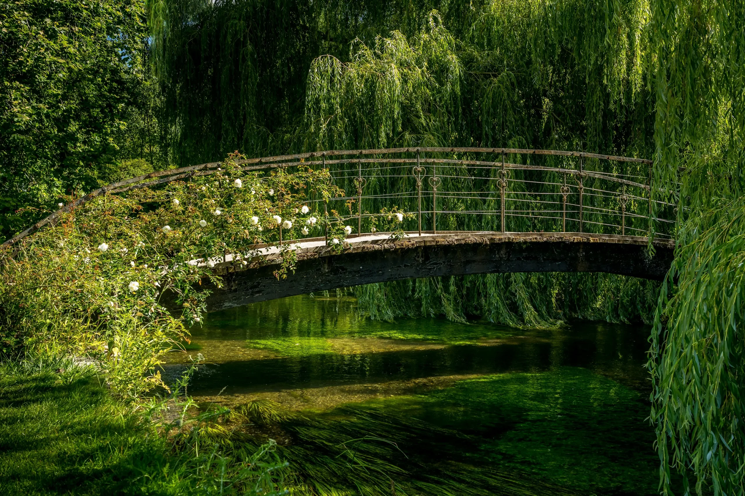 Eine wunderschöne, verwitterte, von Rosen bewachsene Brücke, die über einen kleinen Fluss führt als Symbol für die Verbindung von schlechten und guten Zeiten.